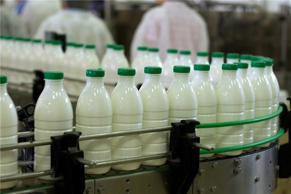 قیمت لبنیات افزایش یافت/ رشد ۹ درصدی نرخ شیرخام
