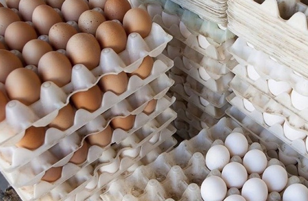 سفارش ۲ هزارتن تخم مرغ برای تنظیم بازار