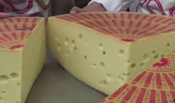 دانستنی های عجیب درباره پنیر
