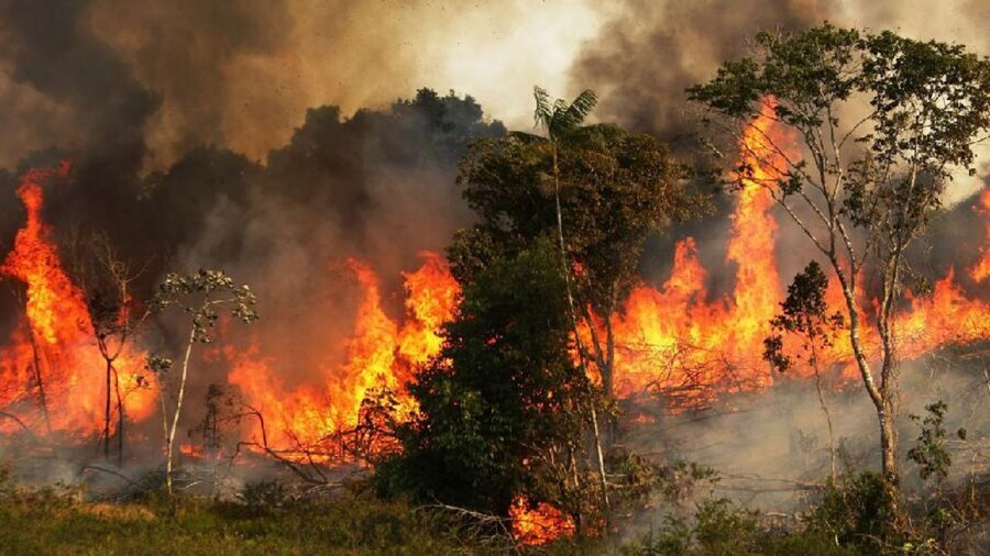 واکنش محیط زیست به آتش‌سوزی جنگل‌ها : عادی است/ مردم را نگران نکنیم