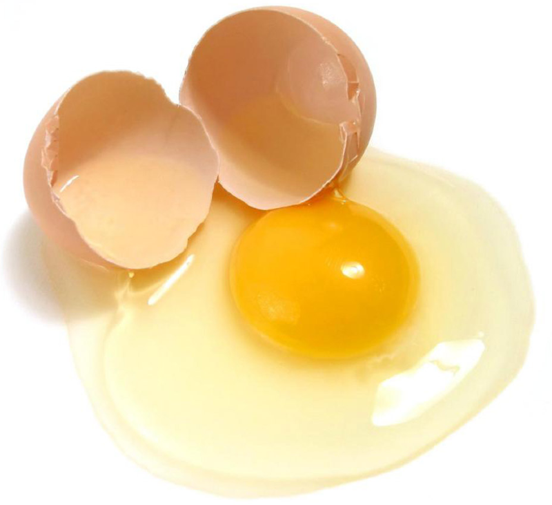 نتایج مصرف روزانه تخم مرغ