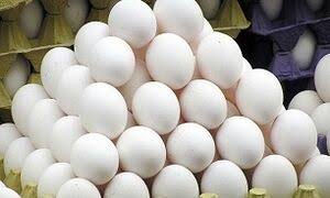 قیمت هر شانه تخم مرغ به ۴۰هزار تومان رسید