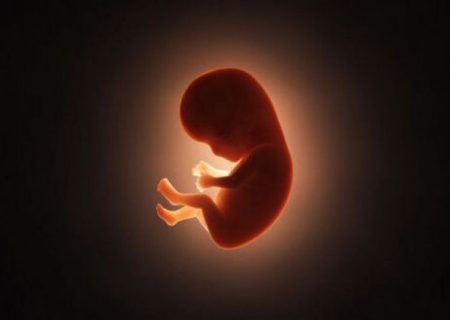 دستور جنجالی درباره سقط آزادانه جنین
