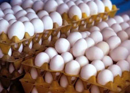 ایرانی‌ها تخم‌مرغ را جایگزین گوشت کردند