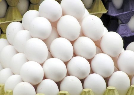 رانت ۱۶میلیارد تومانی در بسته‌بندی تخم مرغ
