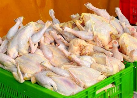 هشدار عجیب درباره آینده قیمت مرغ و گوشت : مرغ ۱۰۰ هزار تومان و گوشت قرمز ۲۰۰ تا ۲۵۰ هزار تومان