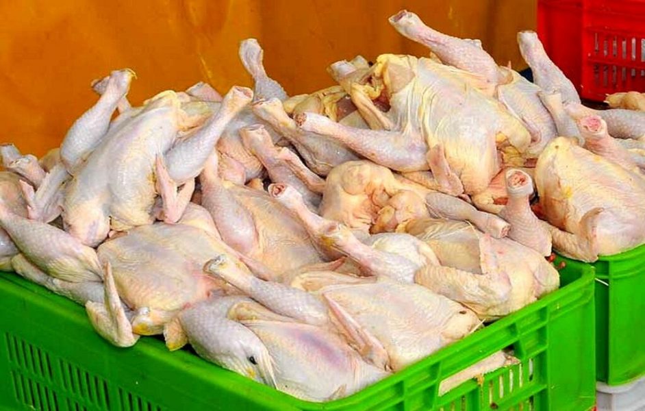 ۲۰ دلال مرغ در تهران دستگیر شدند