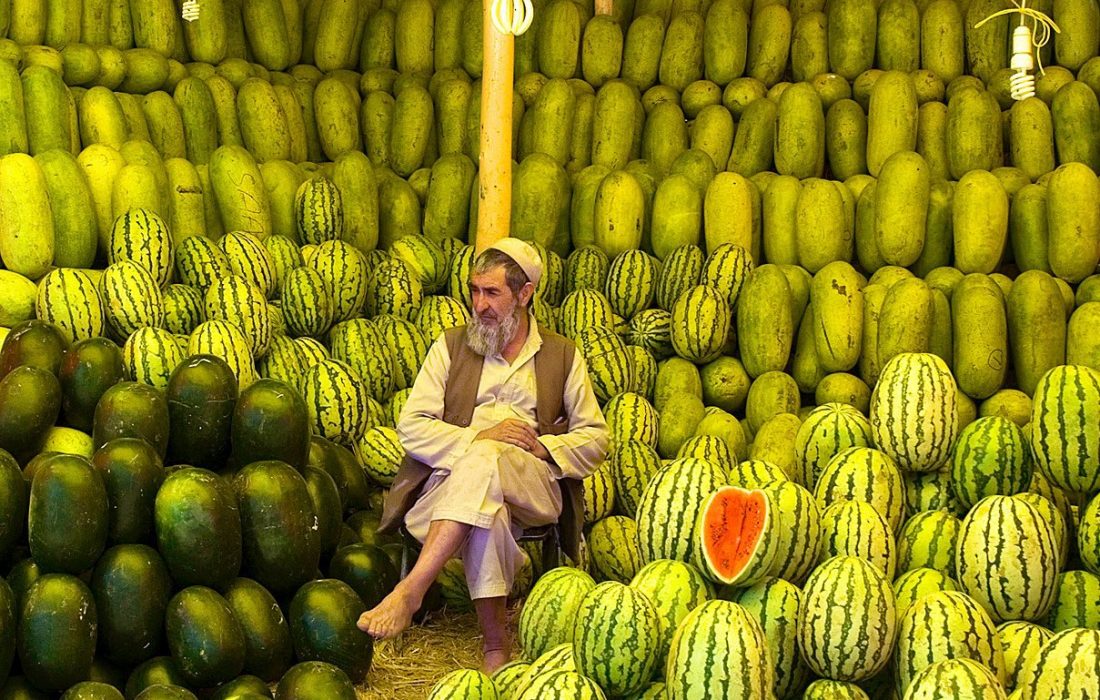 ‏هندوانه‌فروش افغان / عکس