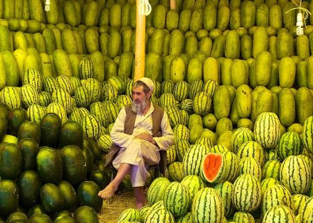‏هندوانه‌فروش افغان / عکس
