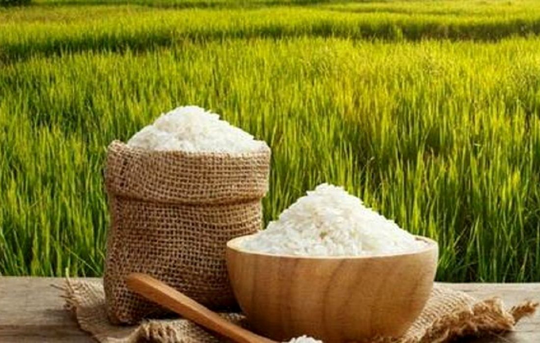 چرا برنج ایرانی گران شده ؟