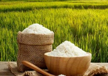 برنج ایرانی در بازار ۱۰۰ هزار تومان شد