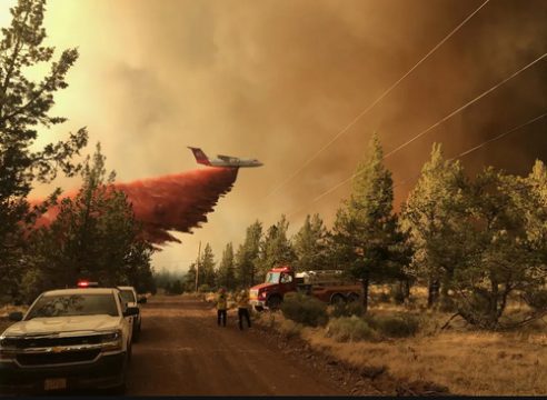 آتش سوزی جنگلی در آمریکا/ عکس