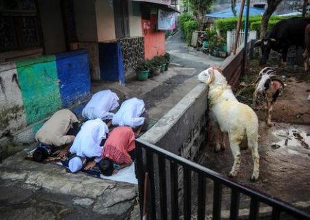 عکسی خاص از نماز عید قربان در جاوه اندونزی