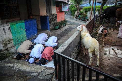 عکسی خاص از نماز عید قربان در جاوه اندونزی