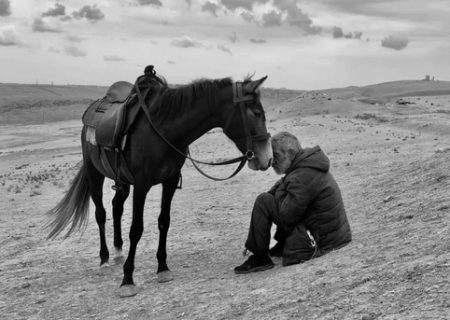 پیرمرد و اسب برنده مسابقه عکاسی آیفون۲۰۲۱ / عکس