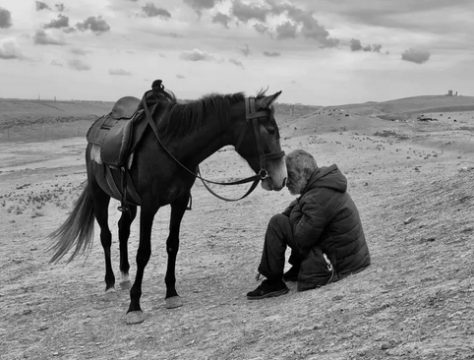 پیرمرد و اسب برنده مسابقه عکاسی آیفون۲۰۲۱ / عکس