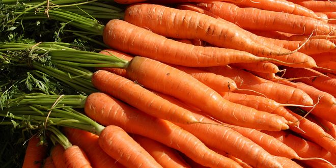 توزیع هویج زیر ۱۰ هزار تومان