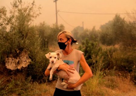 آتش سوزی گسترده در یونان/ عکس