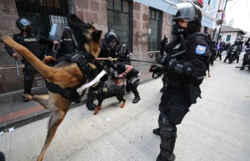 استفاده پلیس اکوادور از سگ برای مقابله با اعتراضات مردمی/ عکس
