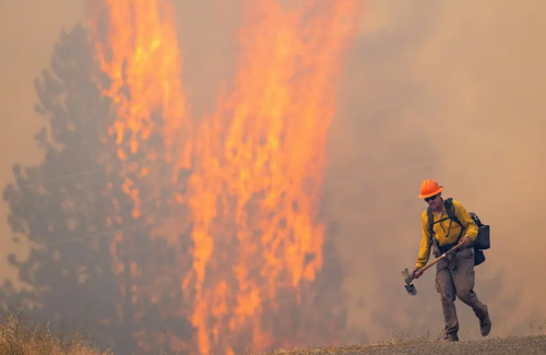 آتش سوزی جنگلی در آمریکا/عکس