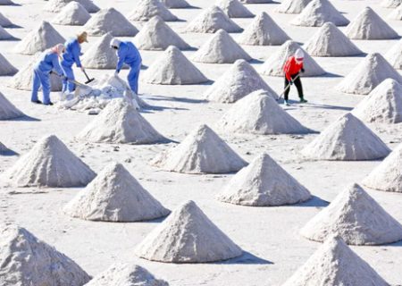 معدن نمک در چین/ عکس
