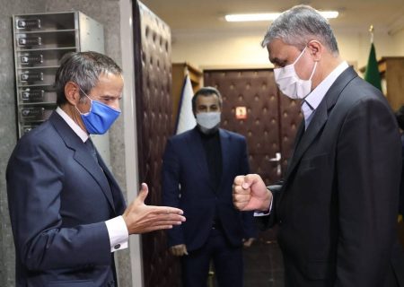 جزئیات دیدار مدیرکل آژانس بین المللی انرژی اتمی و رییس سازمان انرژی اتمی ایران