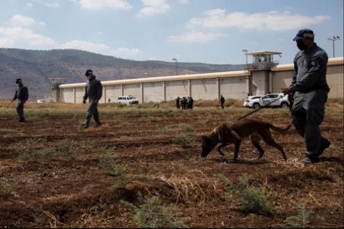 ماموران امنیتی اسراییلی در حال جستجوی ۶ زندانی فراری/ عکس