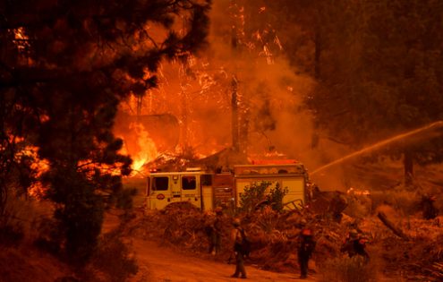 آتش سوزی جنگلی در کالیفرنیا /عکس