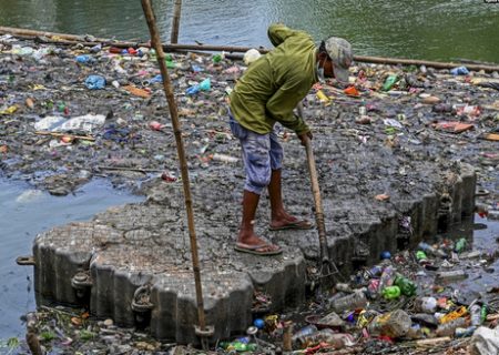 جمع کردن زباله ها از دریاچه ای سریلانکا/ عکس