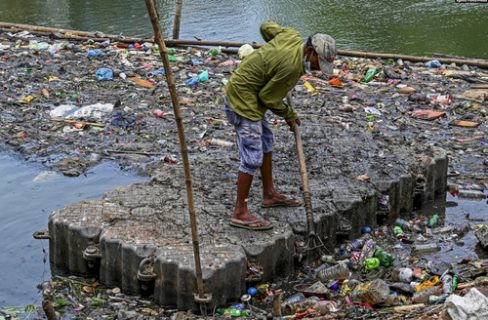 جمع کردن زباله ها از دریاچه ای سریلانکا/ عکس