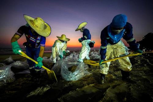 پاکسازی آلودگی نفتی سواحل تایلند/عکس