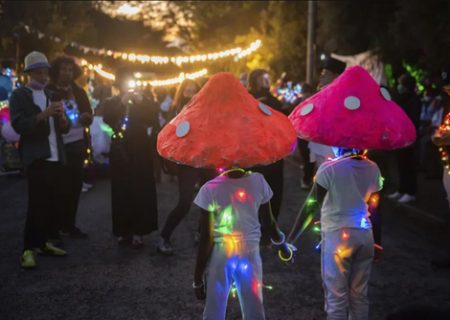 کودکان کلاه قارچی در جشنواره نور ژوهانسبورگ /عکس