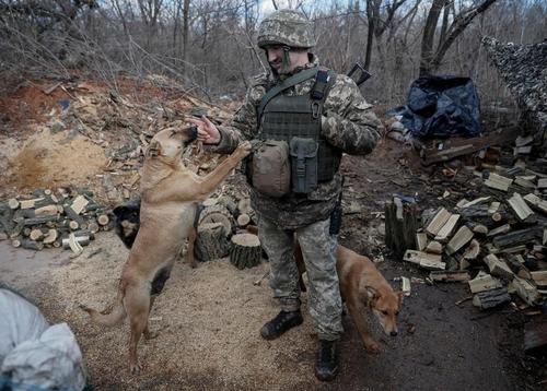 عکسی خاص از خط مقدم جنگ اوکراین و روسیه