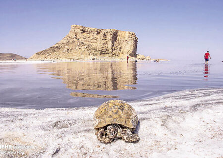 ۱۰ میلیون دلار احیای دریاچه ارومیه کجاست؟