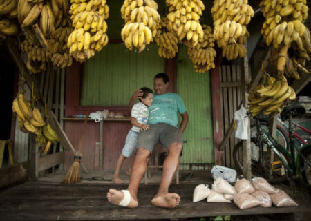 پدر و پسر موز فروش در ریودوژانیرو برزیل