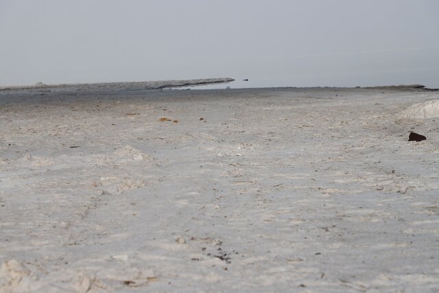 جان دریاچه ارومیه در خطر است/ دادن ریاست ستاد احیا به استاندار آذربایجان‌غربی «مصیبت» بود