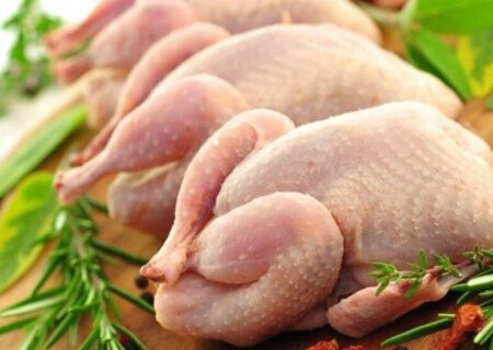 صادر نشدن مجوز برای واردات مرغ از بلاروس