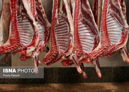 ثبات بازار  با واردات گوشت قرمز از هفته آینده