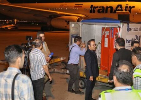 بازگشت سنگ‌نگاره ساسانی بامداد امروز به ایران