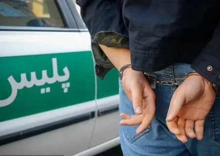 قاتل سریالی مجازی در تهران بازداشت شد
