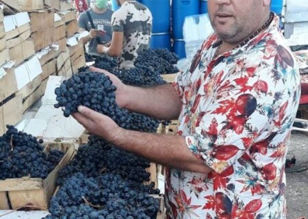 تولید و فروش آب انگور در میدان میوه و تره بار ممنوع شد
