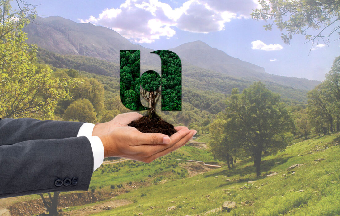 پویش کاشت ۷۲ هزار درخت در یادمان ۷۲ سال خدمت بانک صادرات ایران