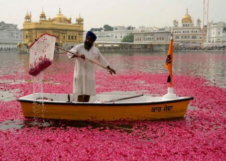 جمع کردن گلبرگ ها از دریاچه معبد طلایی هندوها