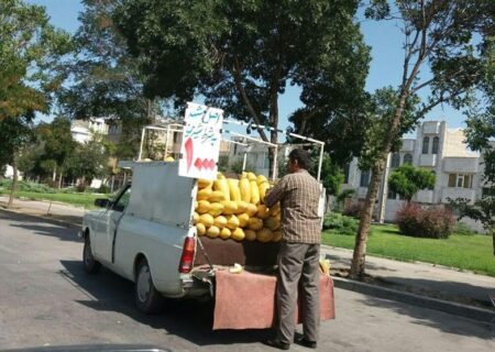 ادعای رسانه شهرداری درباره وانتی‌های میوه فروش