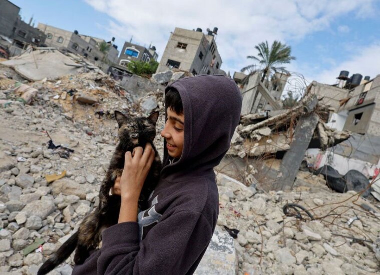 بازی نوجوان فلسطینی با گربه در ویرانی غزه