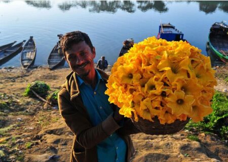 گلهای نرگس در دستان کشاورز بنگلادشی