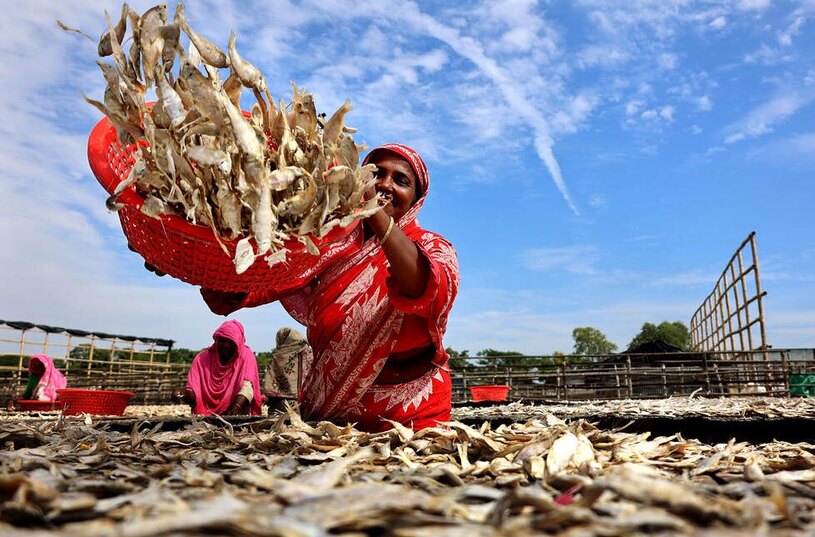 یک کارگاه خشک کردن ماهی در بنگلادش