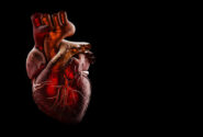 اولین قلب تیتانیومی جهان با موفقیت در بدن انسان کاشته شد