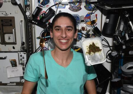 با یاسمین مقبلی قرمه‌سبزی به فضا رفت