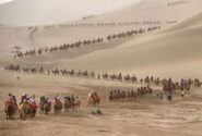 گردشگران سوار بر شتر در صحرای چین
